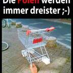 die Polen